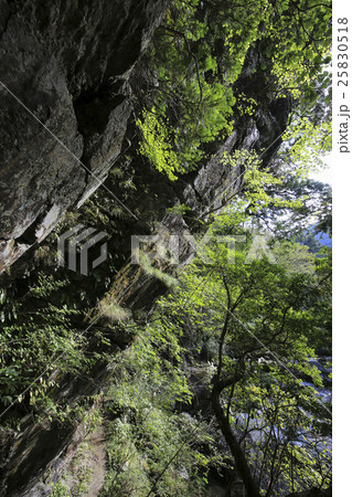 愛媛県内子町　小田深山渓谷　腰のばし岩 25830518