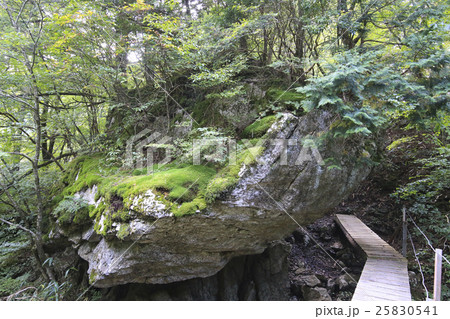 愛媛県内子町 小田深山渓谷 廻り岩 愛媛県内子町 小田深山渓谷 廻り岩 25830541