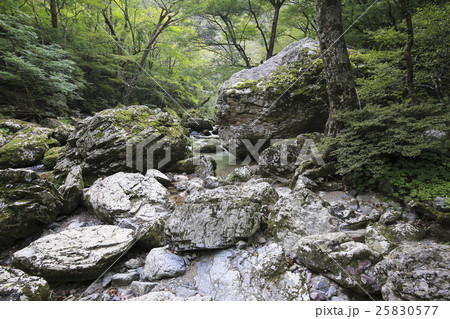 愛媛県内子町　小田深山渓谷　五色河原 25830577