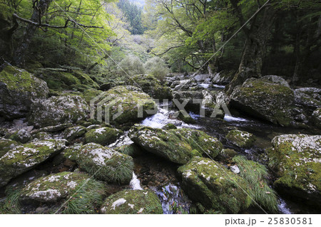 愛媛県内子町　小田深山渓谷　五色河原 25830581