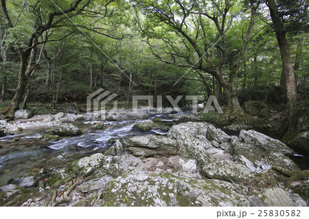 愛媛県内子町 小田深山渓谷 五色河原 愛媛県内子町 小田深山渓谷 五色河原 25830582