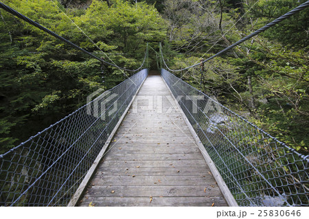 愛媛県内子町 小田深山渓谷 安芸貞橋 愛媛県内子町 小田深山渓谷 安芸貞橋 25830646