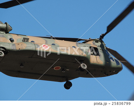 千葉県船橋市の習志野駐屯地で新春に行われる降下訓練始めで飛行する大型輸送用ヘリコプター 25836799