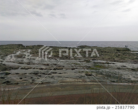 千畳敷海岸 25837790