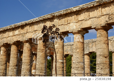 segesta archaeological site of ancient greece segesta archaeological site of ancient greece 25838198