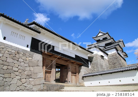 春の小峰城（白河市） 25838514