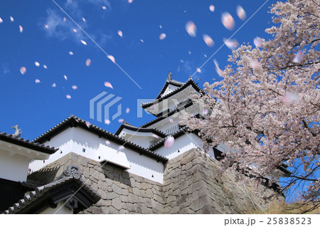 春の小峰城（白河市） 25838523
