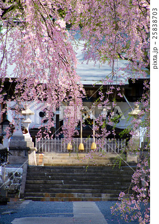 春の南湖神社（白河市） 25838703