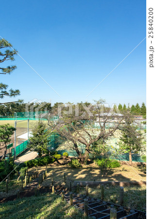 野毛大塚古墳 野毛大塚古墳 25840200