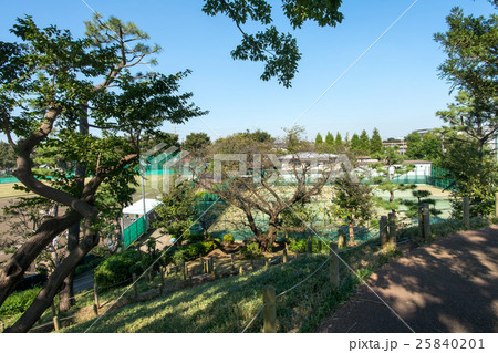 野毛大塚古墳 野毛大塚古墳 25840201