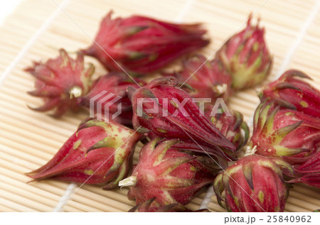 ローゼル 25840962