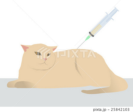 猫と注射 25842103