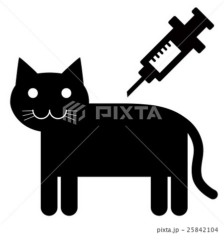 猫と注射 25842104