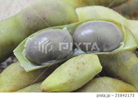 丹波黒の枝豆 25842173