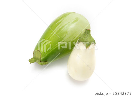 茄子 茄子 25842375