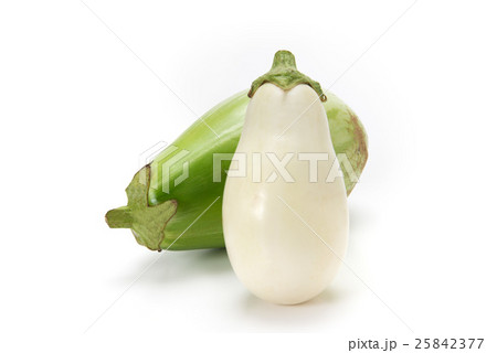 茄子 茄子 25842377