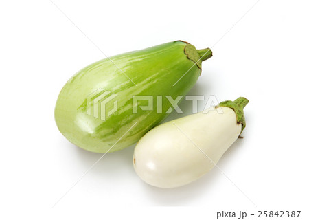 茄子 茄子 25842387