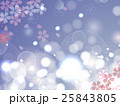 薄紫の背景の桜　　地模様無 25843805