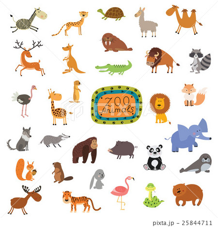 Set of cute animals isolated on white background 25844711