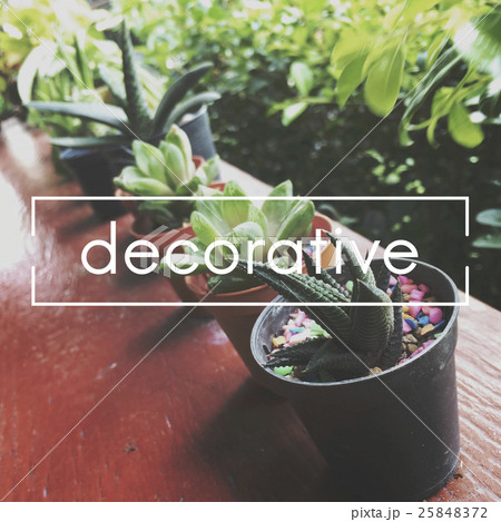 Summer Plant Ecology Botanical Concept Summer Plant Ecology Botanical Concept 25848372