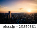 新宿からの景色 25850381