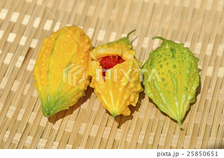 ミニミニゴーヤ ミニミニゴーヤ 25850651