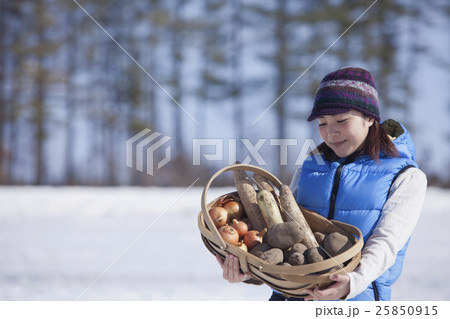 越冬野菜 越冬野菜 25850915