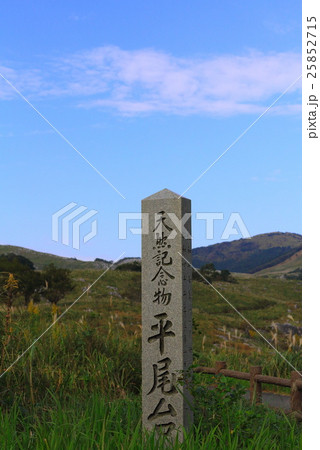 平尾台（福岡県北九州市）石碑　日本三大カルスト台地 25852715