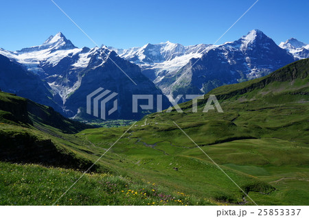 スイスのフィルスト スイスのフィルスト 25853337