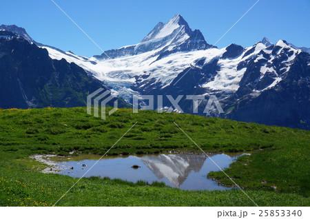 スイスのフィルスト（水溜りに写るシュレックホルン） 25853340