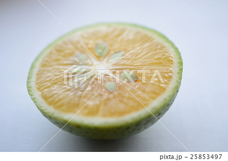 おおいたカボス 25853497