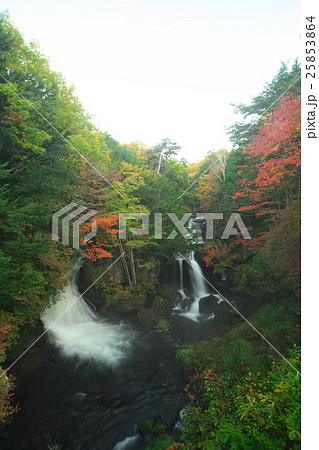 竜頭の滝 25853864