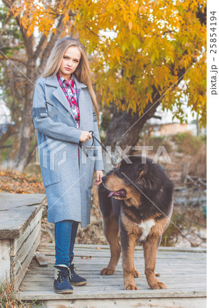 Pretty blonde girl with mastiff on the nature Pretty blonde girl with mastiff on the nature 25854194