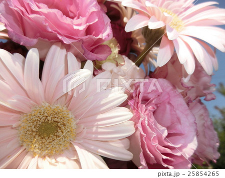 ガーベラとトルコキキョウの花束 25854265