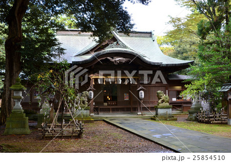 福井　三国神社　本殿・拝殿（2016.10） 25854510