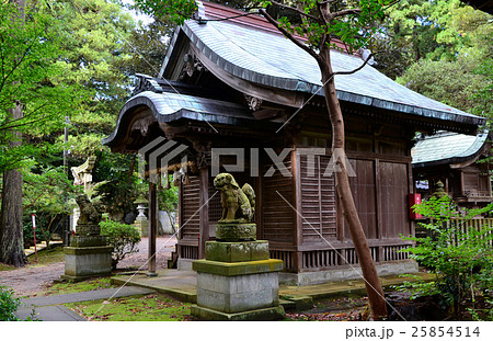 福井 三国神社 八幡神社(2016.10) 福井 三国神社 八幡神社(2016.10) 25854514