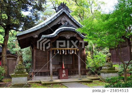 福井 三国神社 八幡神社(2016.10) 福井 三国神社 八幡神社(2016.10) 25854515
