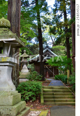福井 三国神社 八幡神社(2016.10) 福井 三国神社 八幡神社(2016.10) 25854517
