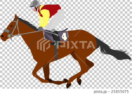 jockey riding race horse illustration 25855075