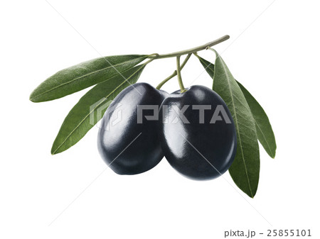 Black olives on branch isolated on white  25855101