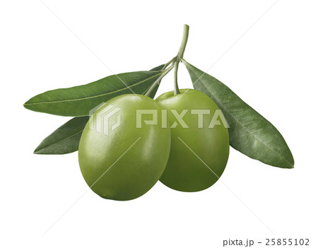 Green double olives on branch isolated on white Green double olives on branch isolated on white 25855102