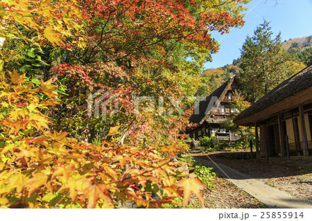 平湯温泉 25855914