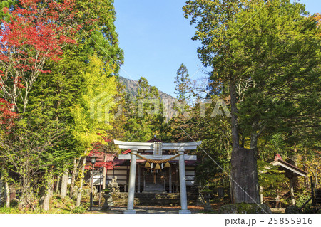 平湯温泉 25855916