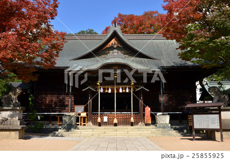 松本　四柱神社　拝殿（2016.10） 25855925