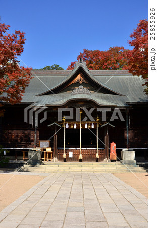 松本 四柱神社 拝殿(2016.10) 松本 四柱神社 拝殿(2016.10) 25855926