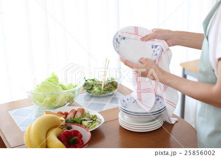 お皿を拭く お皿を拭く 25856002