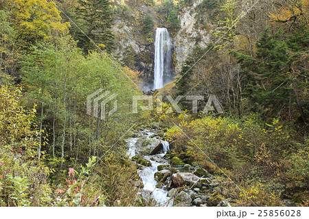 平湯大滝 平湯の森 平湯大滝 平湯の森 25856028