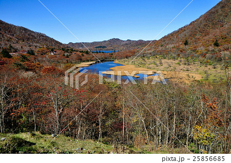 群馬県前橋市　秋の赤城山　覚満淵の紅葉 25856685