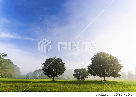 公園 パーク 園 25857556