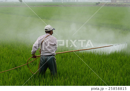 働く人 作業者 ワーカー 25858815